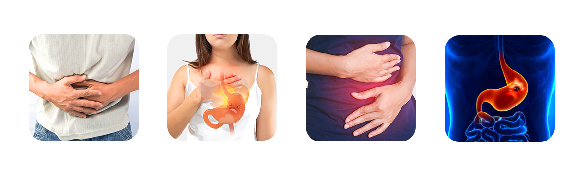supports digestion