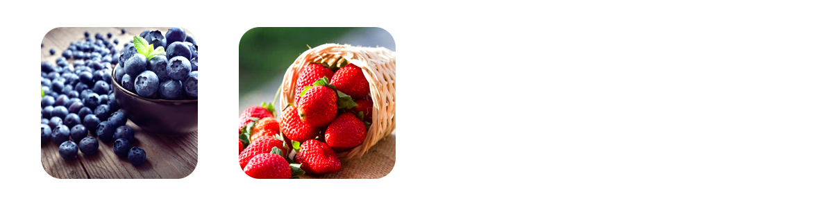 berries polyphenol powerhouses